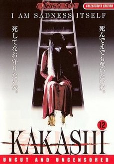 Kakashi (Gebruikt)